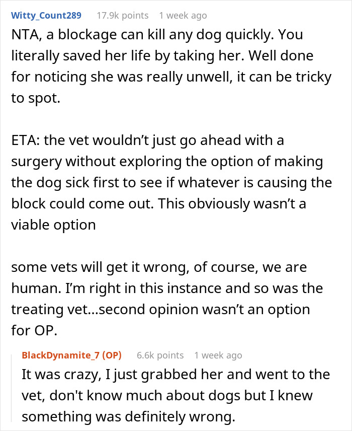 Reddit comments discussing a woman&rsquo;s decision to take a friend&rsquo;s dog to an expensive vet while pet sitting.