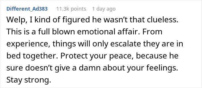 Reddit comment discussing work wife and emotional affair concerns in relationships.
