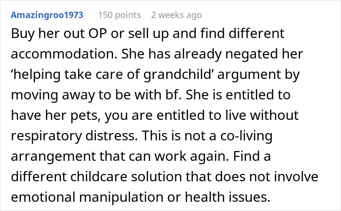 Reddit comment discussing conflict over cats and son's allergy, suggesting alternative childcare.