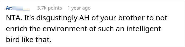 Comment criticizing pet parent for not enriching parrot's environment.