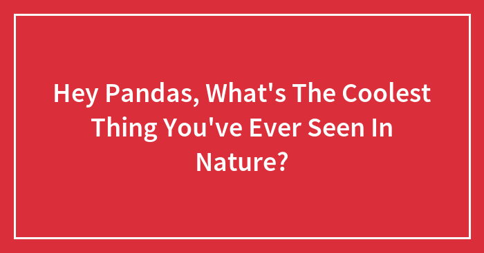 Hey Pandas, What’s The Coolest Thing You’ve Ever Seen In Nature? (Closed)