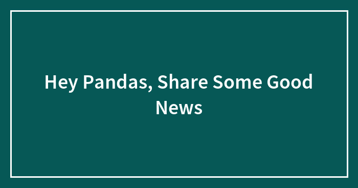 Hey Pandas, Share Some Good News (Closed)