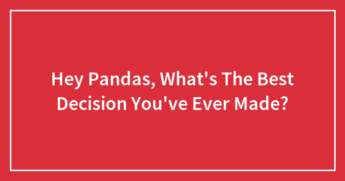 Hey Pandas, What’s The Best Decision You’ve Ever Made? (Closed)