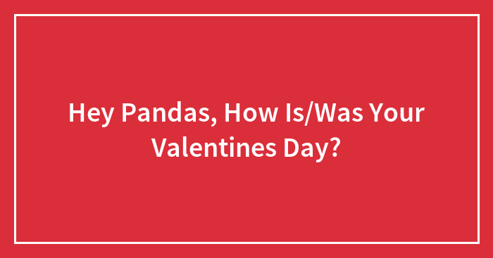 Hey Pandas, How Is/Was Your Valentines Day?