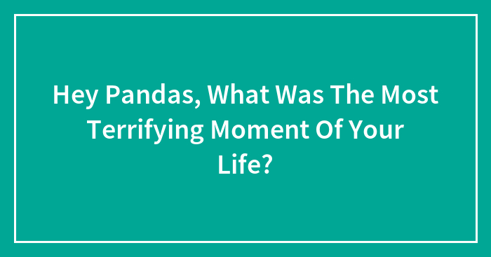 Hey Pandas, What Was The Most Terrifying Moment Of Your Life?