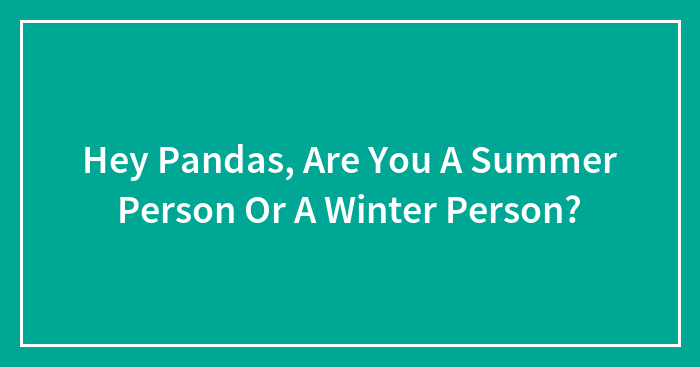 Hey Pandas, Are You A Summer Person Or A Winter Person?