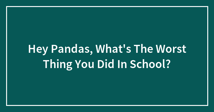 Hey Pandas, What’s The Worst Thing You Did In School? (Closed)