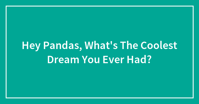 Hey Pandas, What’s The Coolest Dream You Ever Had? (Closed)