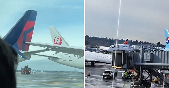 “Is This The New 2025 Trend?”: Days After DC Crash, Two Planes Collide At Seattle Airport