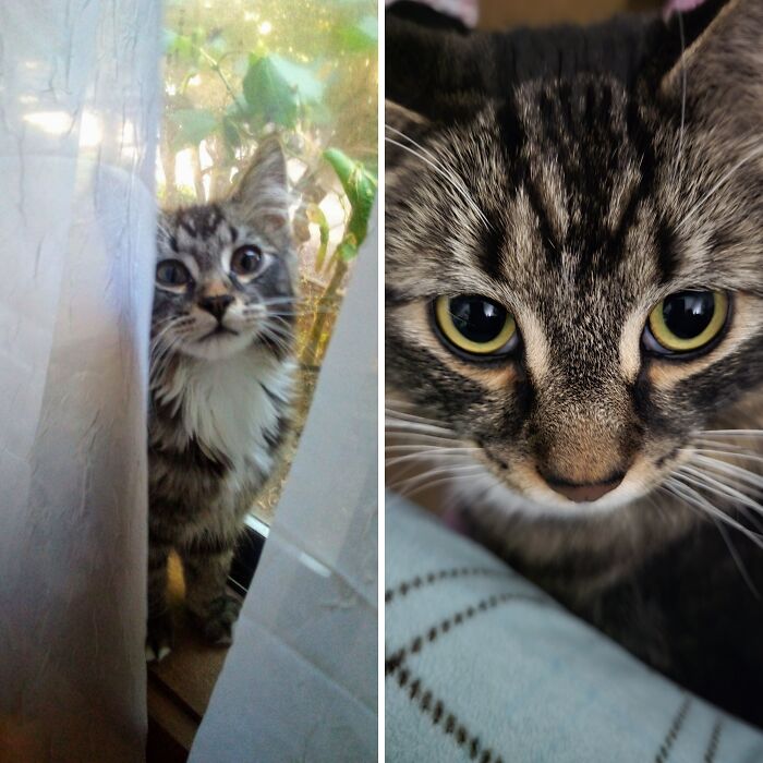 I Rescued This Little Guy From Being Stuck In A Motor