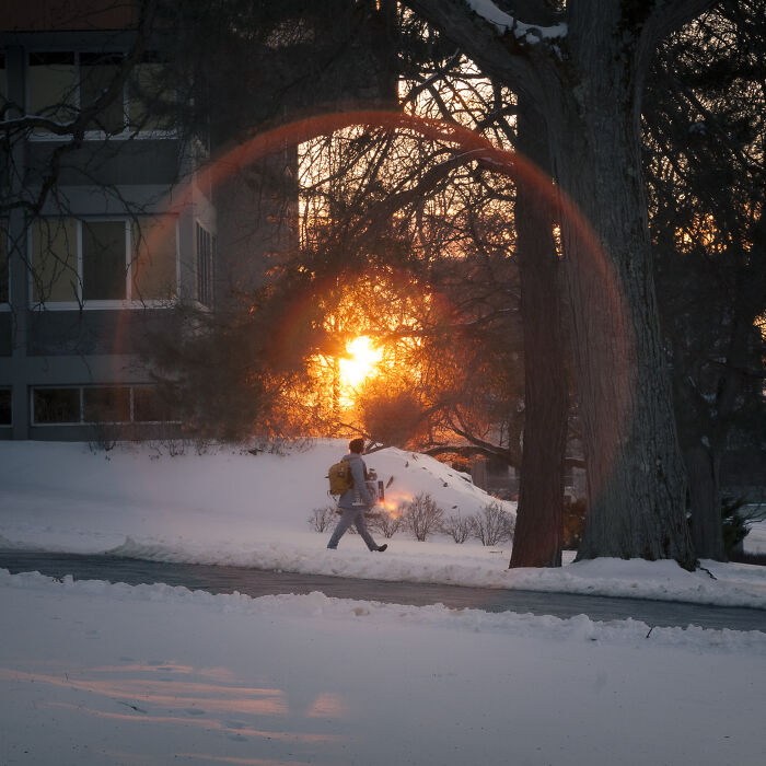 I Got A New Lens, And Here Are Some Test Photos I Took (6 Pics)