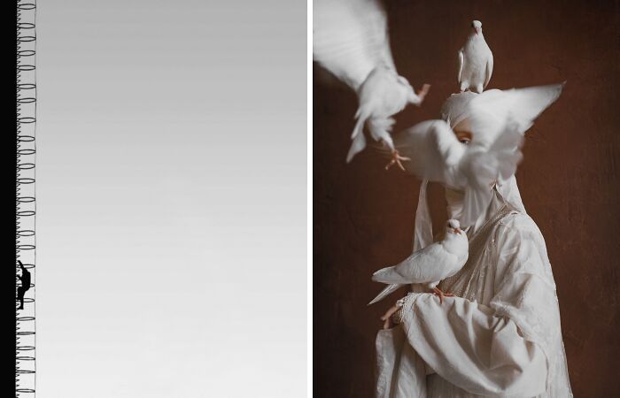 Celebrating Fine Art Photography: The 2024 Bifa Winners (15 Pics)