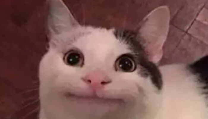 I Found 40 Funny Answers People Received While Texting