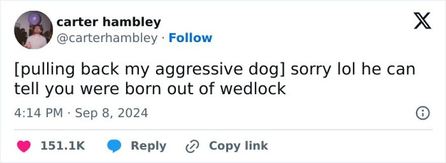 Funny puncrastination meme: person apologizing for their aggressive dog, implying it knows others were born out of wedlock.