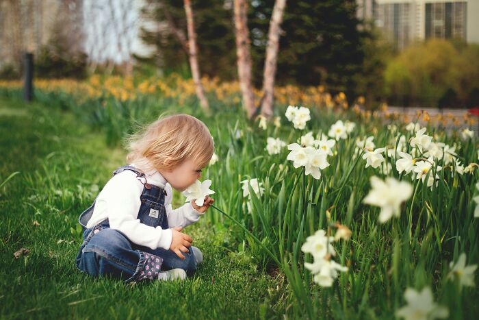 Child in overalls sitting on grass, smelling white flowers in a garden.