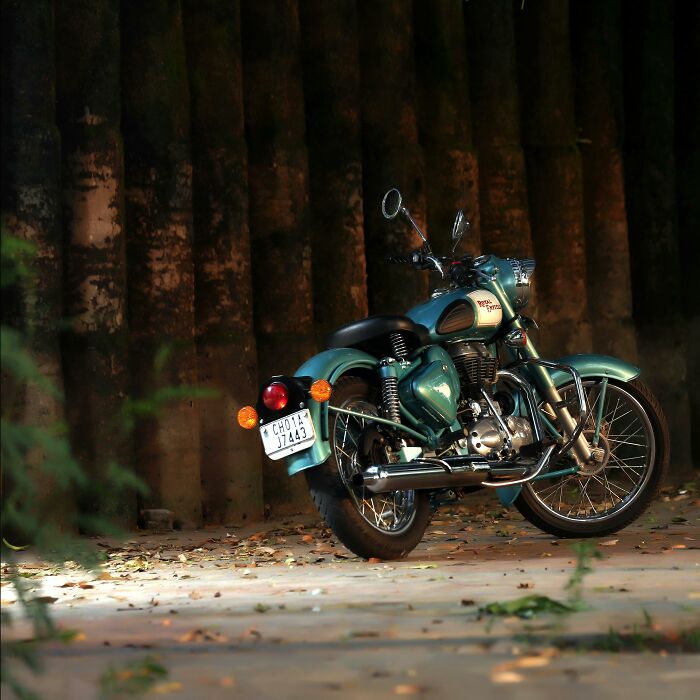 Green motorcycle parked in a wooded area, representing stories of creepy things kids say.