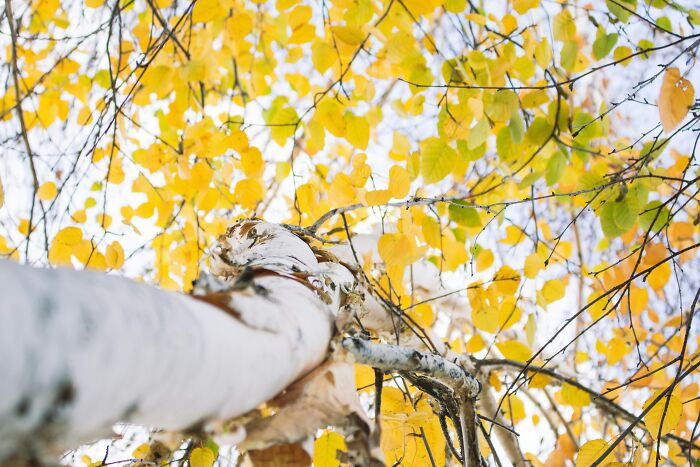 50 Surprising Facts From “Today I Learned” That Show How Little We Actually Know (New Facts)