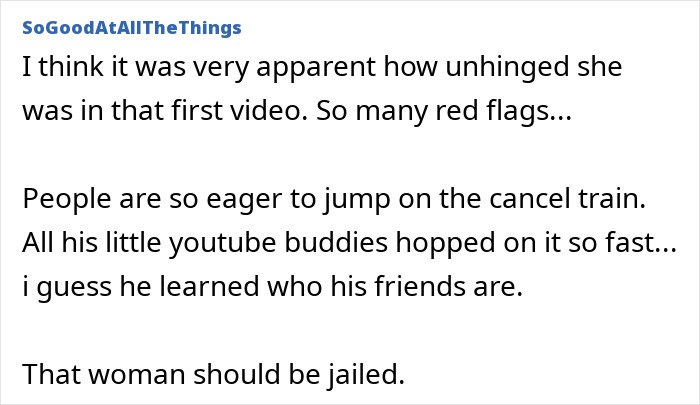 Text conversation discussing red flags and cancel culture in BookTube crisis. Text conversation discussing red flags and cancel culture in BookTube crisis.