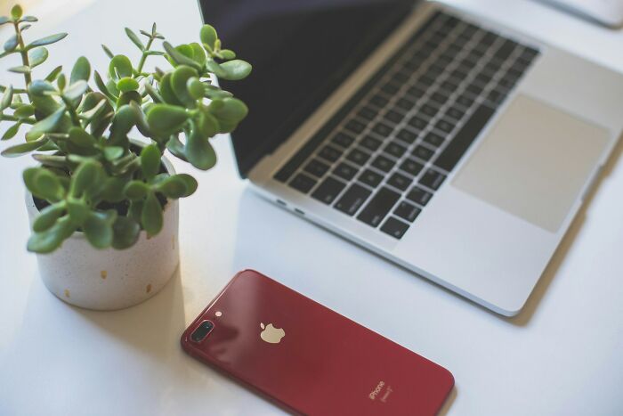 Red iPhone next to a silver laptop and potted plant, representing culture shocks in technology usage globally.