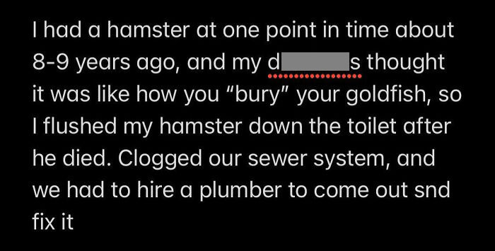 Text conversation about flushing a hamster down the toilet, causing plumbing issues. Dumb-Clueless-Kids story.