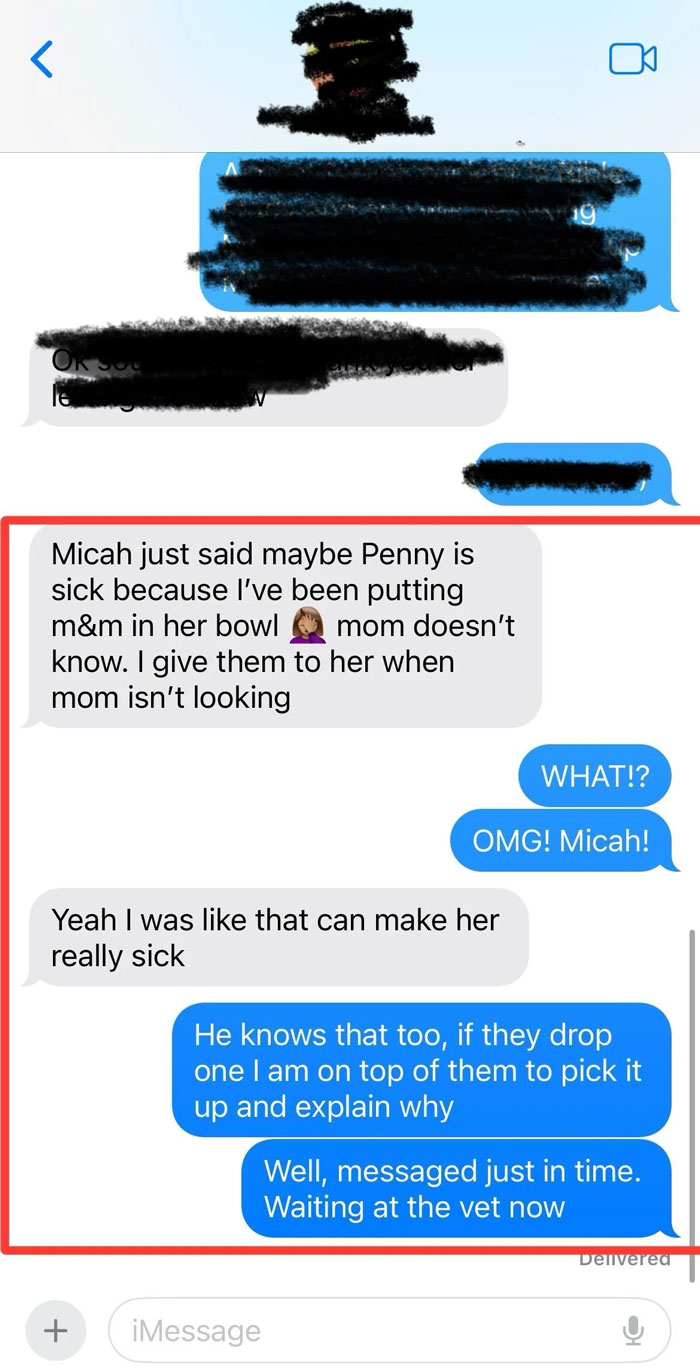 Text messages discussing a pet possibly getting sick from Dumb-Clueless-Kids giving it forbidden snacks.