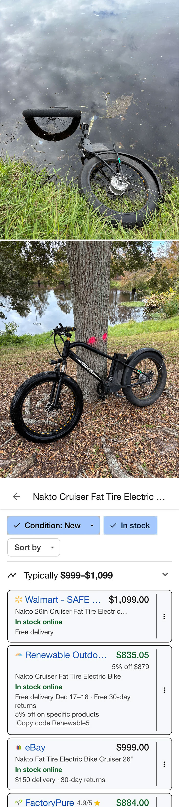 Dumpster diving find: Nakto Cruiser Fat Tire Electric Bike by a lake and price listings from multiple retailers online.