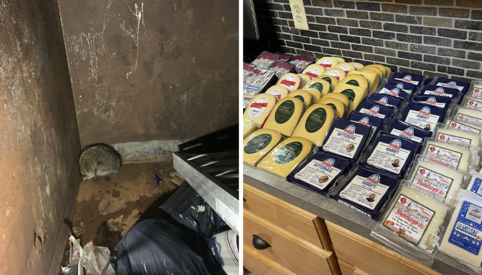 “Struck Gold”: 50 Times People Couldn’t Believe Their Luck While Dumpster Diving (New Pics)