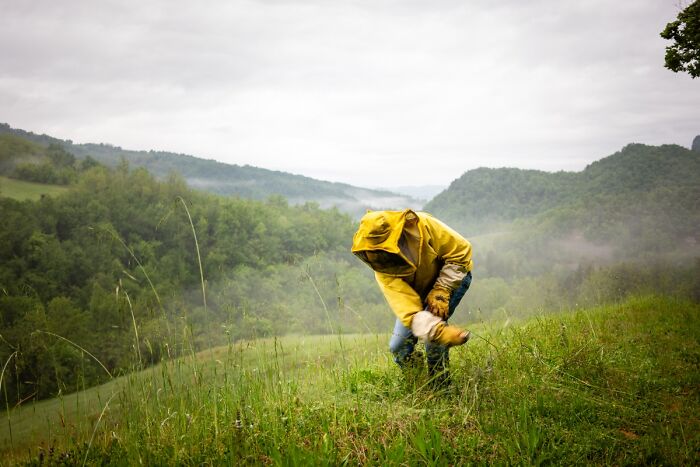 "Chi È Piccolo Può Fare Grandi Cose" By Paolo Maresca