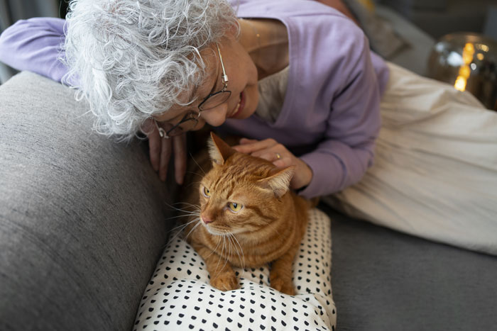 Elderly woman with curly hair petting a ginger cat on a sofa, highlighting cat's role in happiness.