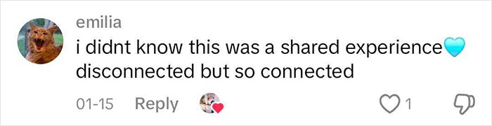 Comment reflecting on adoption experience, with heart emoji and user reactions.