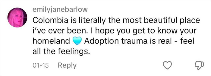 Comment on adoption trauma and discovering homeland, expressing emotional support.