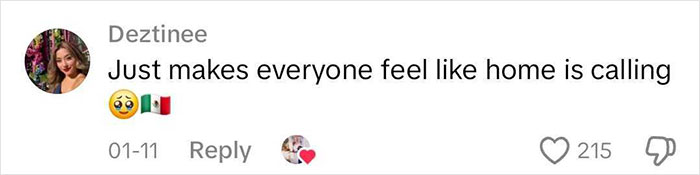 Comment by Deztinee with emojis expressing emotion and a Mexican flag, referencing feeling at home.