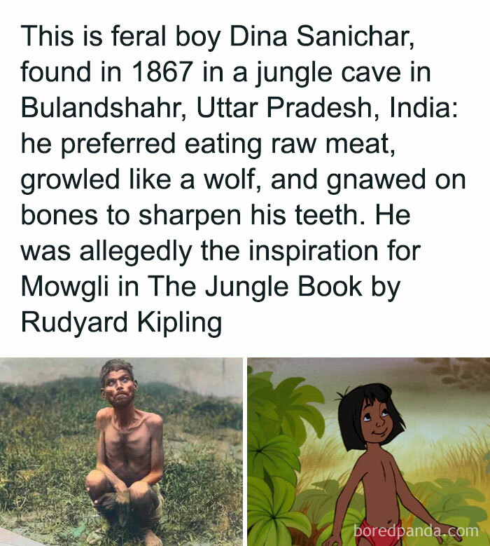 Feral boy Dina Sanichar, inspiration for Mowgli in The Jungle Book, along with an illustration of Mowgli.