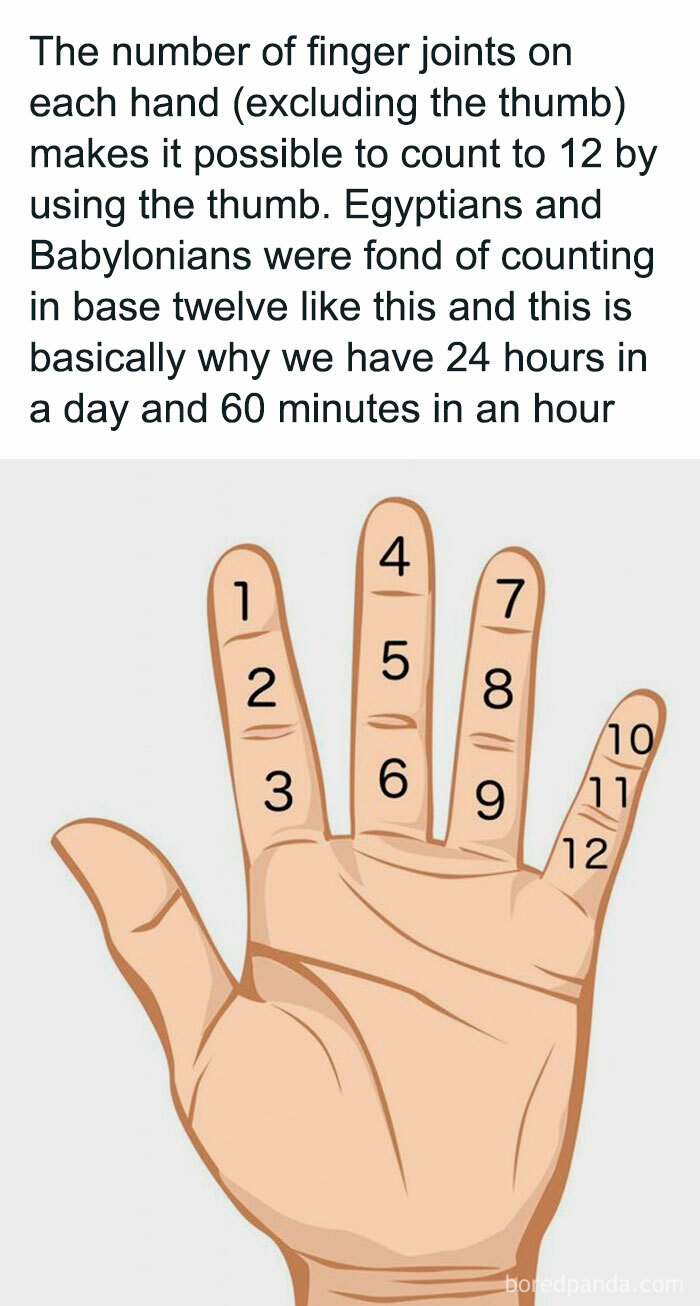 Illustration of a hand counting to twelve using finger joints, explaining a simplified fact for children.