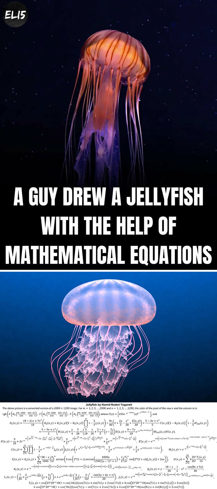 "Illustration of a jellyfish created using mathematical equations, concept for simplifying interesting facts."