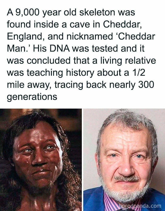 Cheddar Man's reconstruction next to a modern relative, illustrating fascinating historical DNA link.