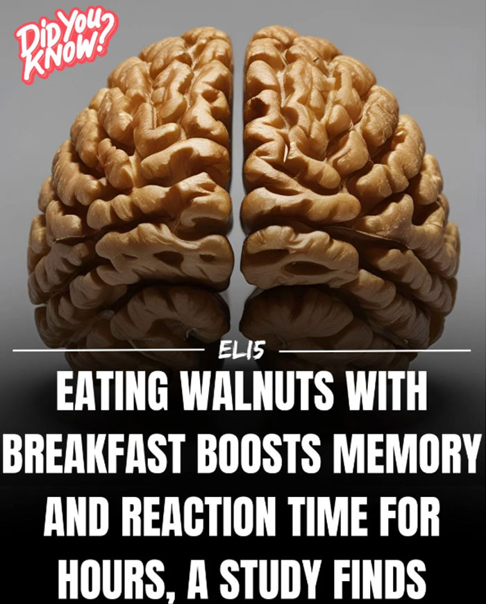 Image of a brain-like walnut with text explaining that eating walnuts improves memory and reaction time, simplifying interesting facts.