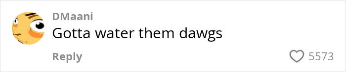 Comment saying "Gotta water them dawgs" related to passenger's bare feet in personal space video.