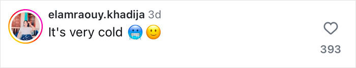 Comment with "It's very cold" and cold emojis, related to a Bella Hadid photoshoot in the snow.