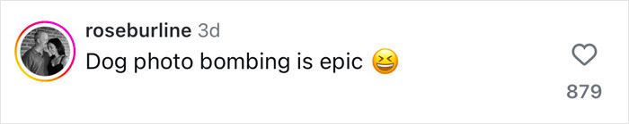 Comment about a dog photo bombing, with an amused emoji and heart icon.