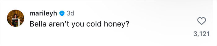 A comment questioning if Bella Hadid is cold, related to her snowy photoshoot in a bikini.