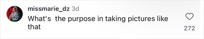 Comment questioning Bella Hadid's snow bikini photoshoot purpose, with 272 likes.