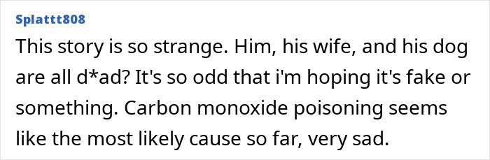 Comment discussing theories about Gene Hackman, his wife, and their dog's mysterious passing, mentioning carbon monoxide poisoning.