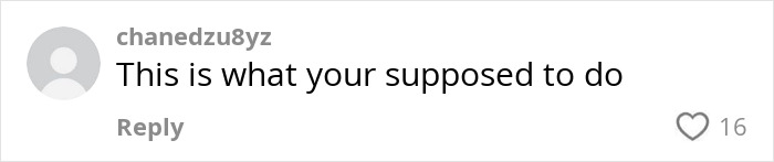 Text comment on a video titled "Passenger Tastes Instant Karma," displaying a user's response.