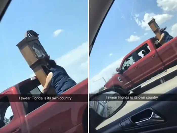 Person in a red truck holding a grandfather clock out of the window, capturing a unique Florida wild moment.