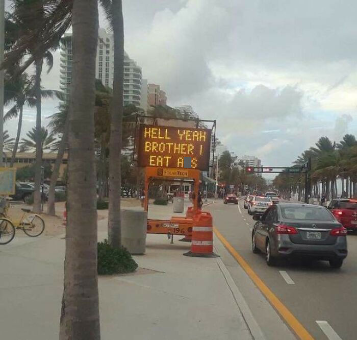 Traffic sign with humorous message on a Florida street, capturing a wild moment.
