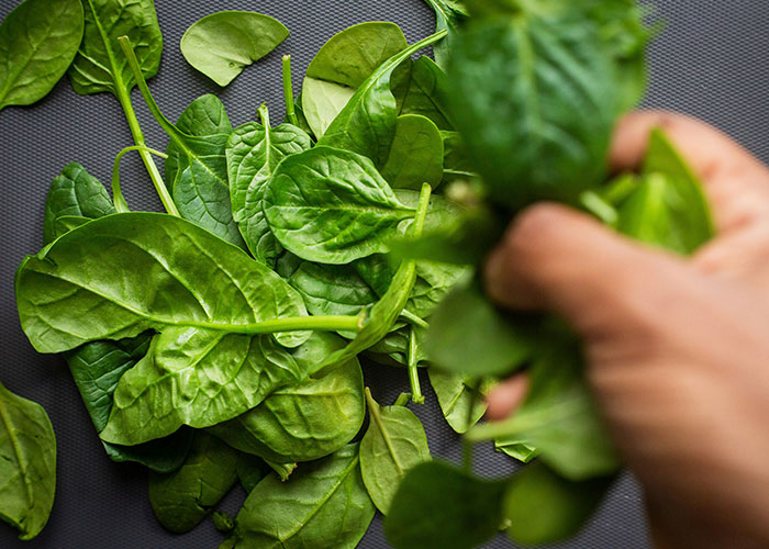 A hand holding fresh spinach leaves on a dark surface, illustrating foods that people started loving when they grew up.