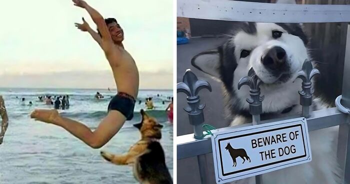 Awkward, Unhinged And Hilarious Animal Pics For Those Who Need A Break From Cuteness