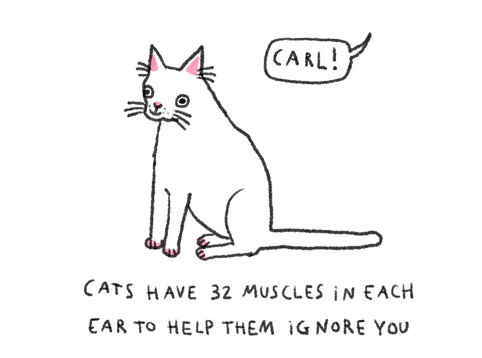 30 Delightfully Silly Animal Illustrations Drawn By This Tattoo Artist