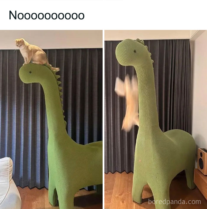 Gato activa modo goblin saltando desde la cabeza de un gran dinosaurio verde de peluche.